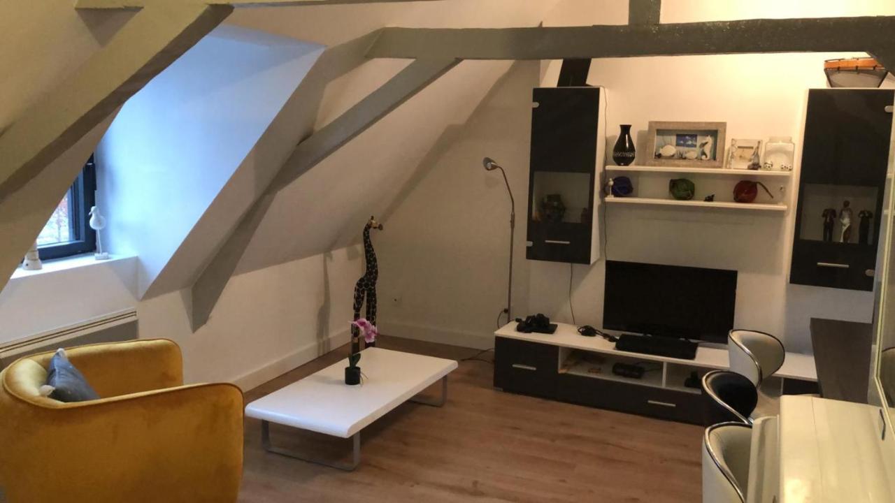Logement Avec Deux Appartements Sur Deux Etages Wormhout Exterior foto